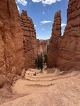 IMG_7755