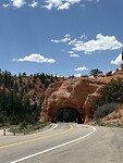 IMG_7763