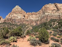 IMG_2769