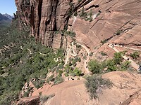 IMG_2935