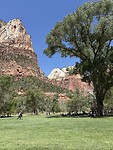 IMG_7867
