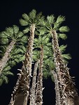 IMG_3117