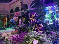 IMG_8195