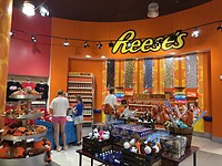 IMG_8071