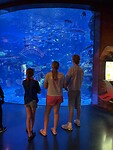 IMG_8231