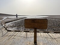 IMG_8263