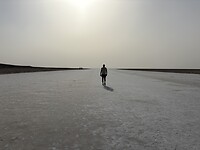 IMG_8271