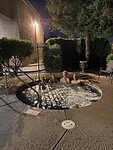 IMG_8369