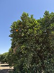 IMG_8389