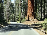 IMG_8399
