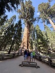 IMG_3496
