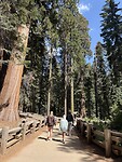 IMG_8428