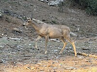 IMG_3528