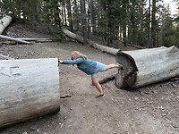 IMG_3543