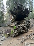 IMG_8438