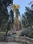 IMG_3538