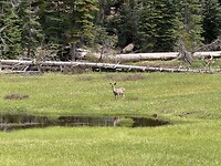 IMG_3612