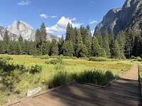 IMG_3786