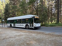 IMG_3808