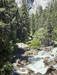 IMG_8550