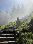 IMG_8520