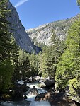 IMG_8505