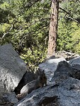IMG_8502