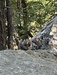 IMG_8490