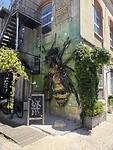 IMG_9229