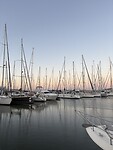 IMG_9289