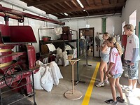 IMG_0095