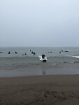 IMG_5371