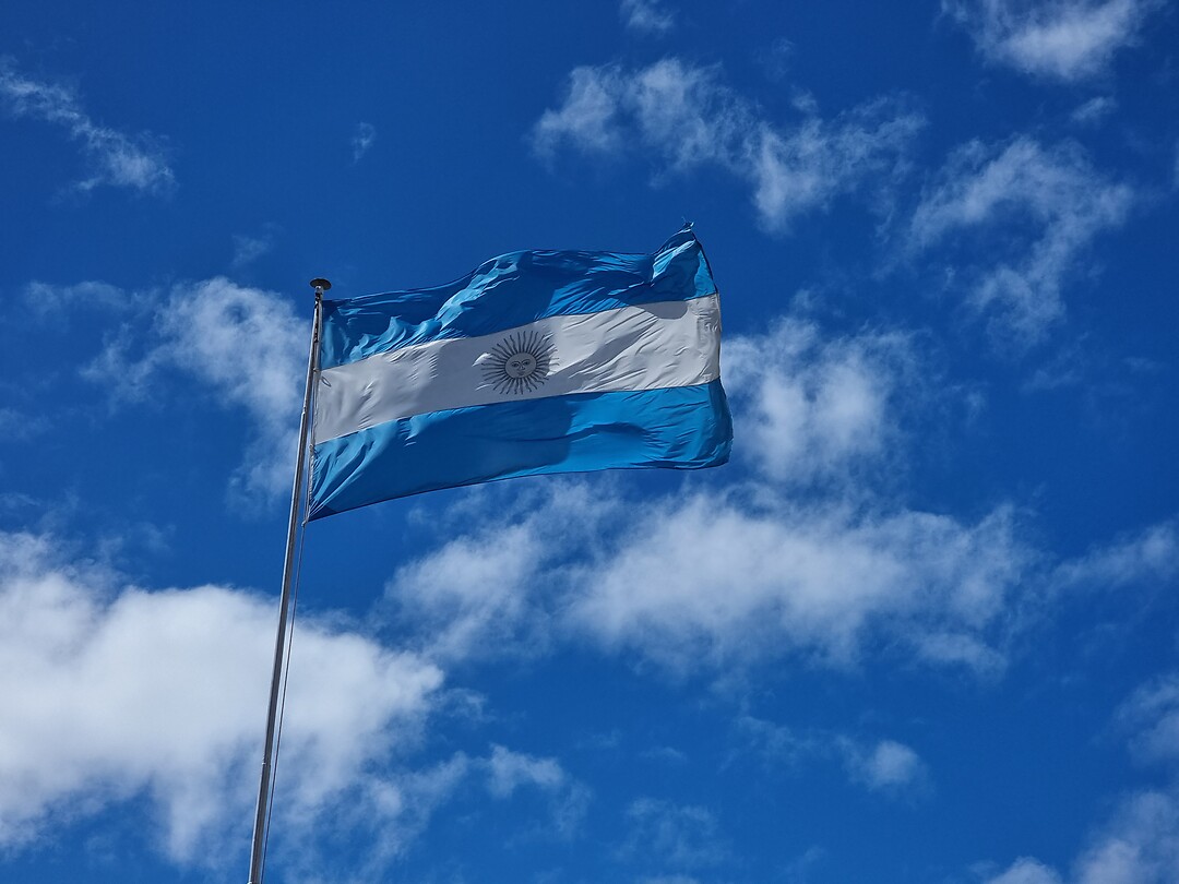 Vlag