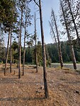 Lewis Clark trail