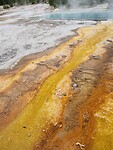 Algae River