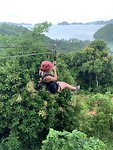 Zipline