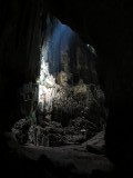 Niah Caves National Park