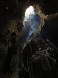 Niah Caves National Park