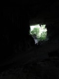 Niah Caves National Park