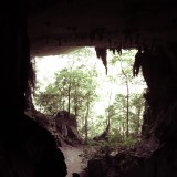 Niah Caves National Park