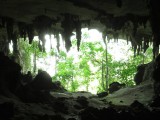 Niah Caves National Park