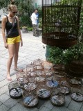 Hong Kong, Mong Kok, bird garden