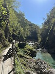 IMG_2771
