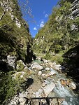 IMG_2768