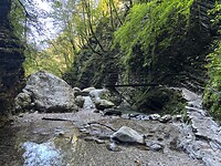 IMG_2708