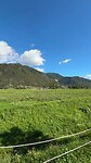IMG_2783