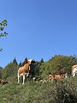 IMG_3397