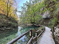 IMG_3385