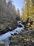 IMG_3339