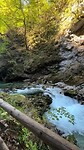 IMG_3351